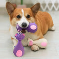 PupSup Squeaky Chew Pals