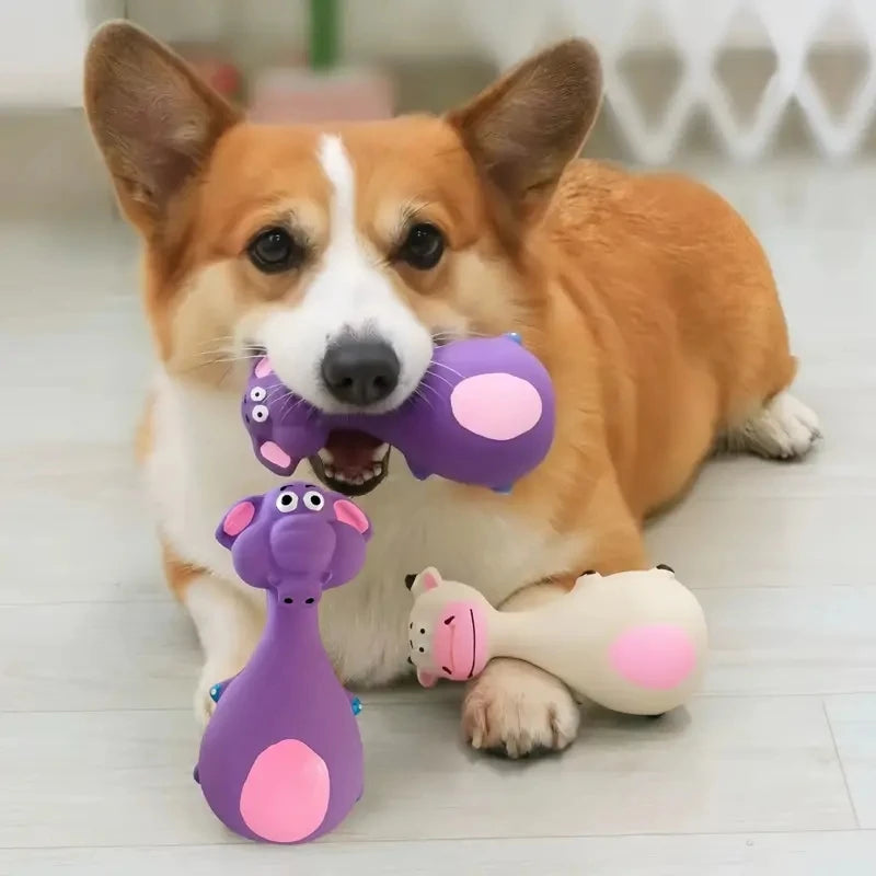PupSup Squeaky Chew Pals