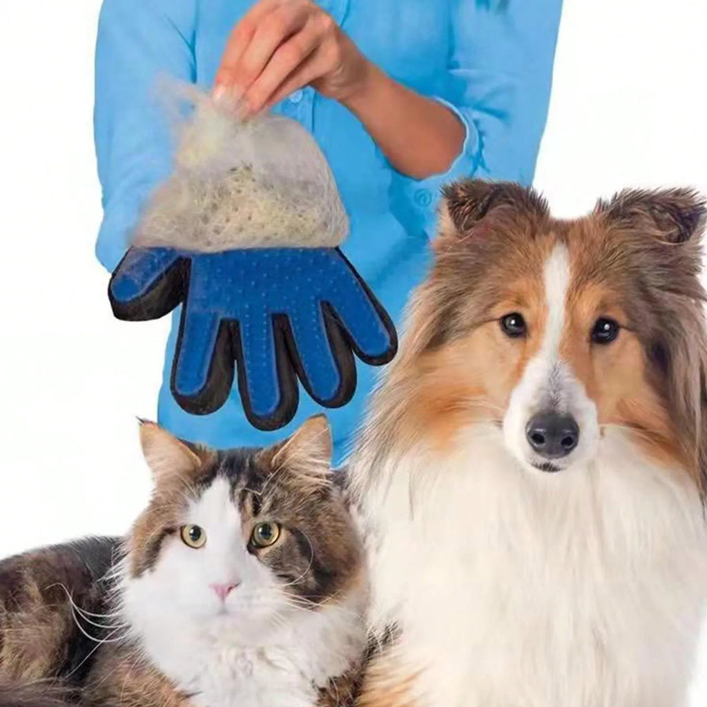 PupSup Pro Grooming Glove | Gentle Fur Removal for Dogs & Cats