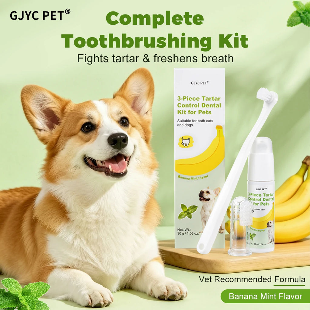 PupSup 3-Piece Pet Dental Care Kit | Fresh Breath & Healthy Gums