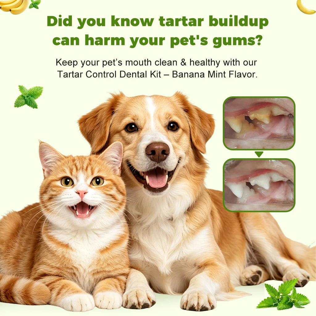 PupSup 3-Piece Pet Dental Care Kit | Fresh Breath & Healthy Gums
