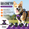 ForgeFit No-Pull Harness