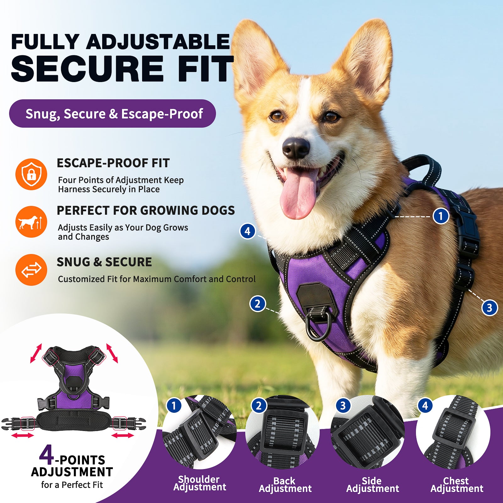 ForgeFit No-Pull Harness