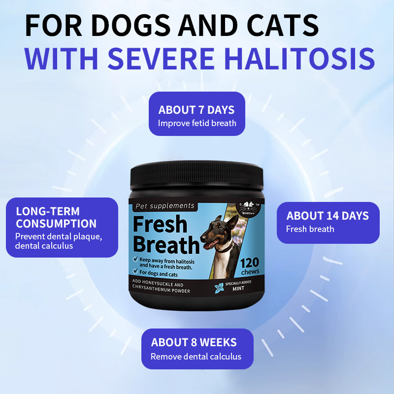 PureBreath Dental Soft Chews