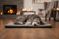 Winter Comfort Mat – dog sleeping on mat